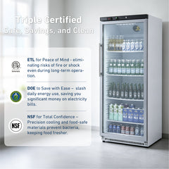 KOOLOTS Commercial 31" Glass Door Reach-In Refrigerator 21.6 Cu.Ft Beverage Display | KR600G