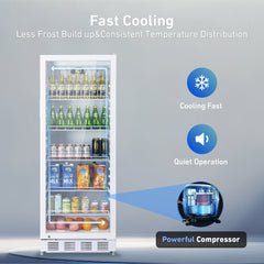 KOOLOTS Commercial 24" Glass Door Reach-In Refrigerator 10.8 Cu.Ft Beverage Display | KSC-280A