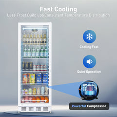 KOOLOTS Commercial 24" Glass Door Reach-In Refrigerator 13.5 Cu.Ft Beverage Display | KSC-370A
